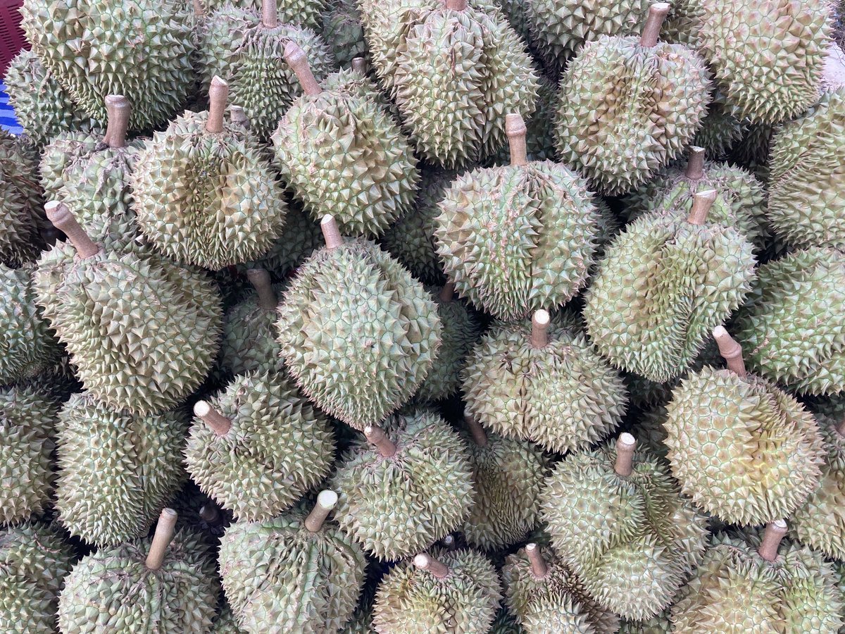 คนโสดๆคนนึง tweet media