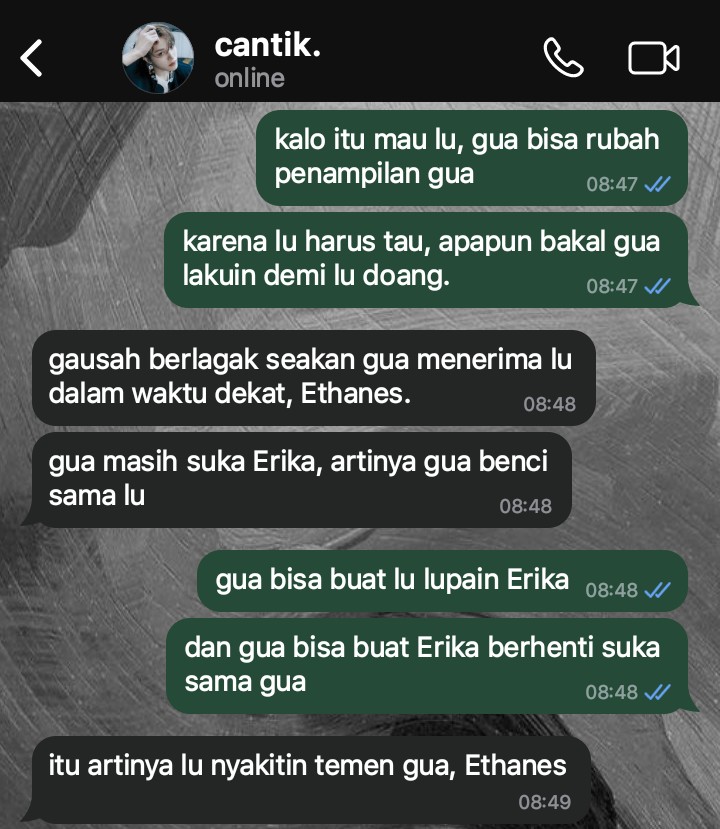 hauna tweet media
