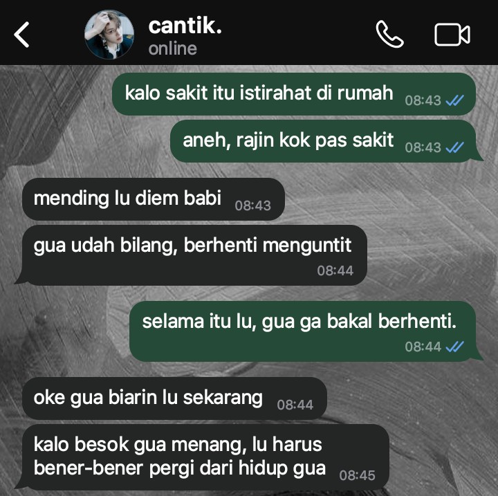 hauna tweet media