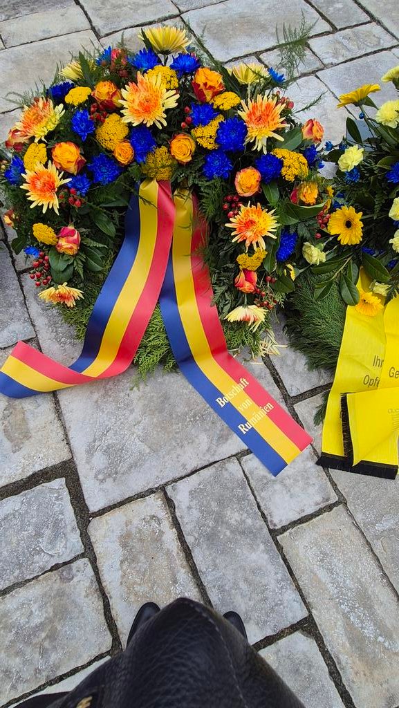 Adriana Stanescu tweet media