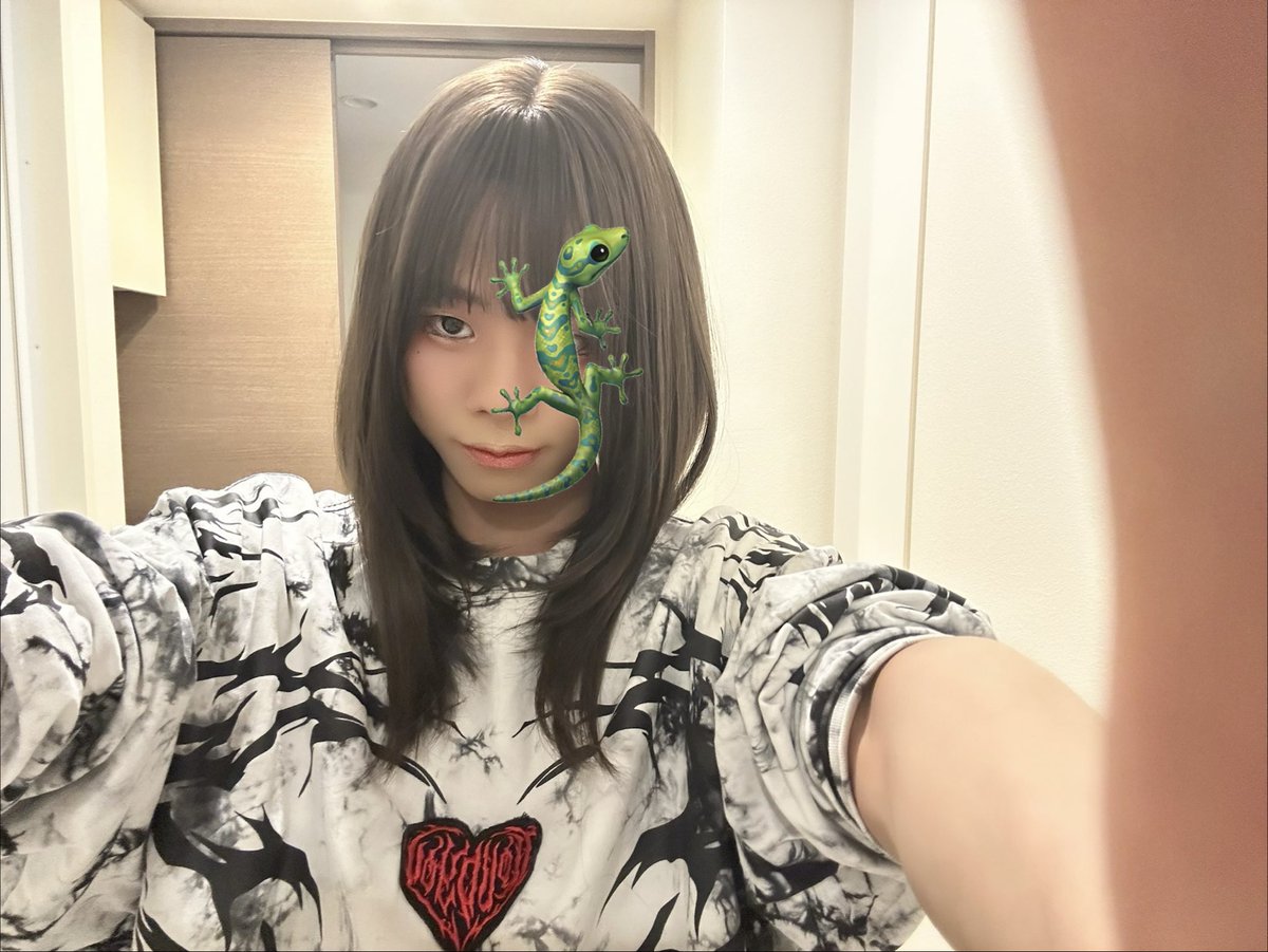 フトホソアゴナシトカゲ tweet media