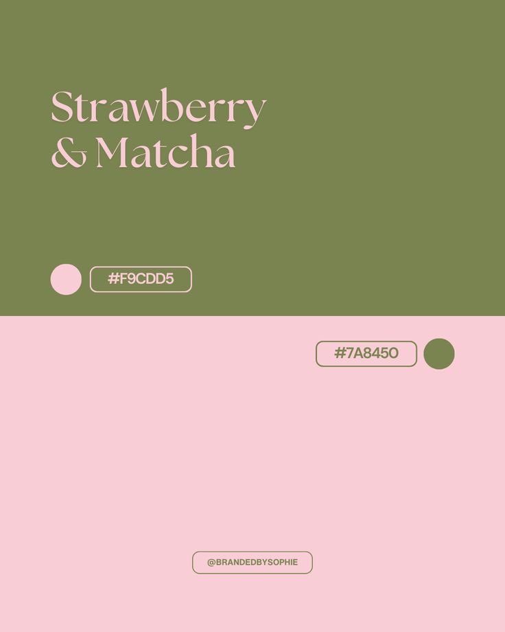 Achqeel. tweet media