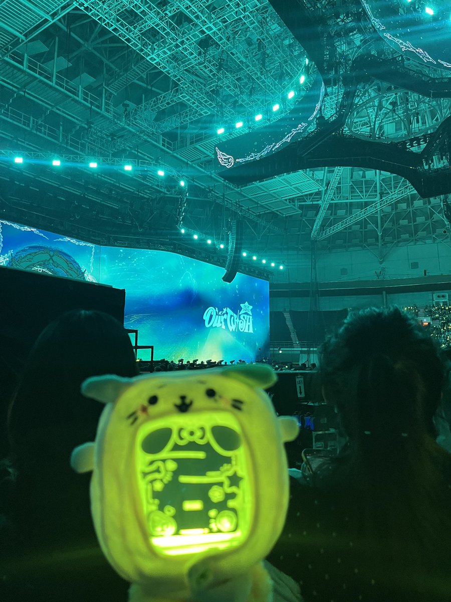 치요🩹 tweet media