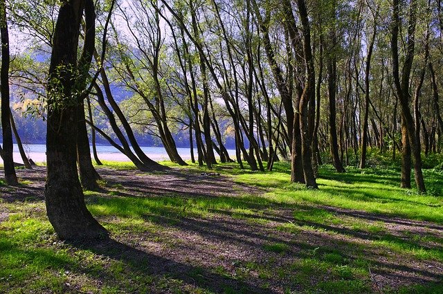 Deja Whatley tweet media