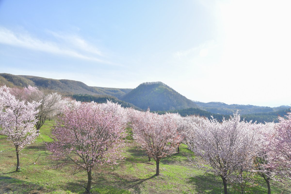 裏磐梯の桜峠、初訪問。
絶景だった。。。写真で見るよりも、美しすぎて最高！

#ファインダー越しの私の世界 #写真好きな人と繋がりたい #裏磐梯 #桜 #桜峠