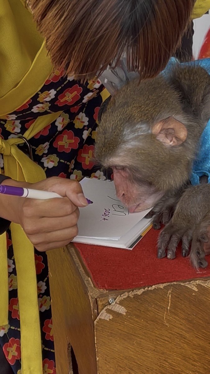 無事帰宅しました🙌🏠🚗💨
莉子ちゃん＆莉子ちゃんママ、
ありがとうございました✨
久しぶりにいろいろ話せてよかったです😆
今日で3歳のGenくん🐵は見納め。
今度は大きくなってできることも増えた、4歳のGenくん🐵に会えるの楽しみにしてます💕
#ニ助企画
#神戸モンキーズ🐒
#GenTen
#Genくん🐵