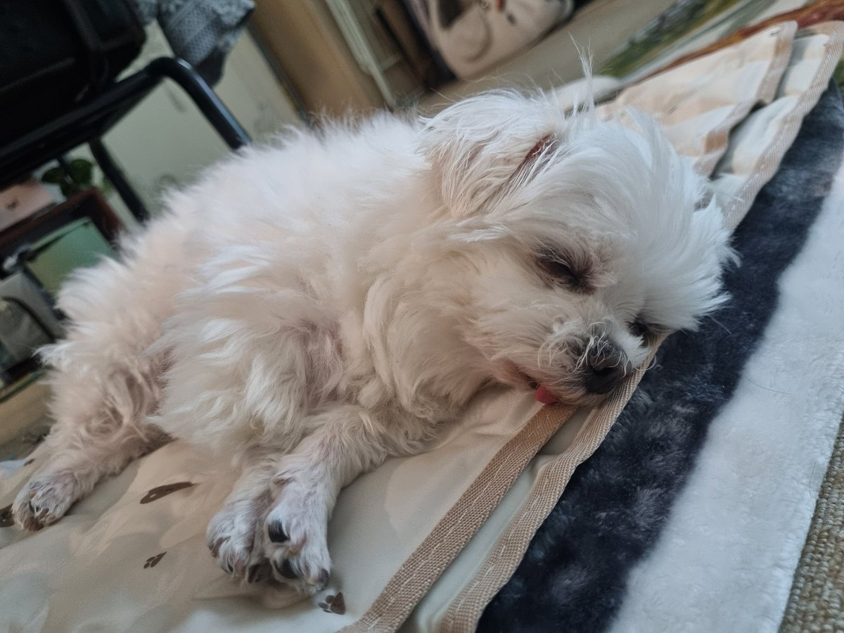 깨발랄삐돌이🕯 tweet media