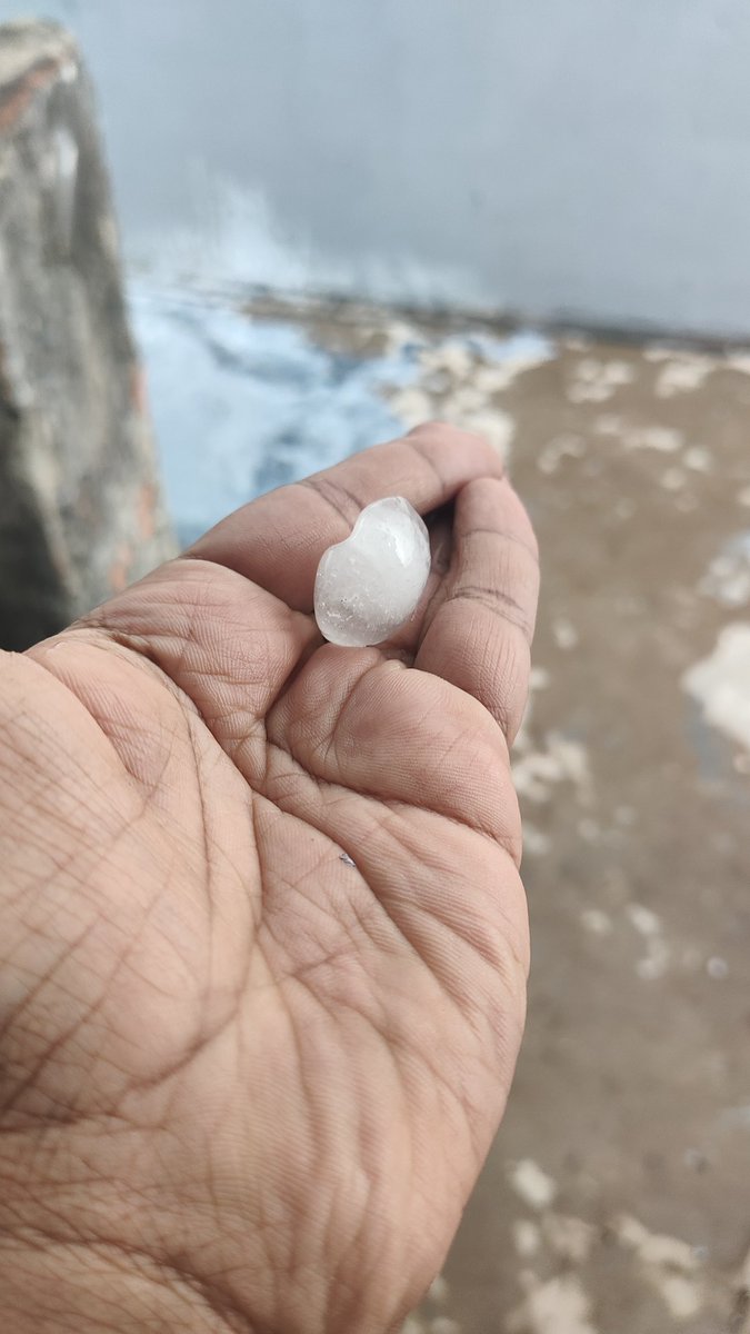 Traveller tweet media