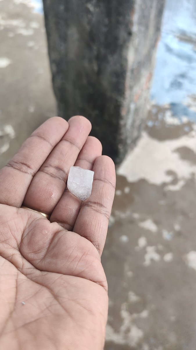 Traveller tweet media