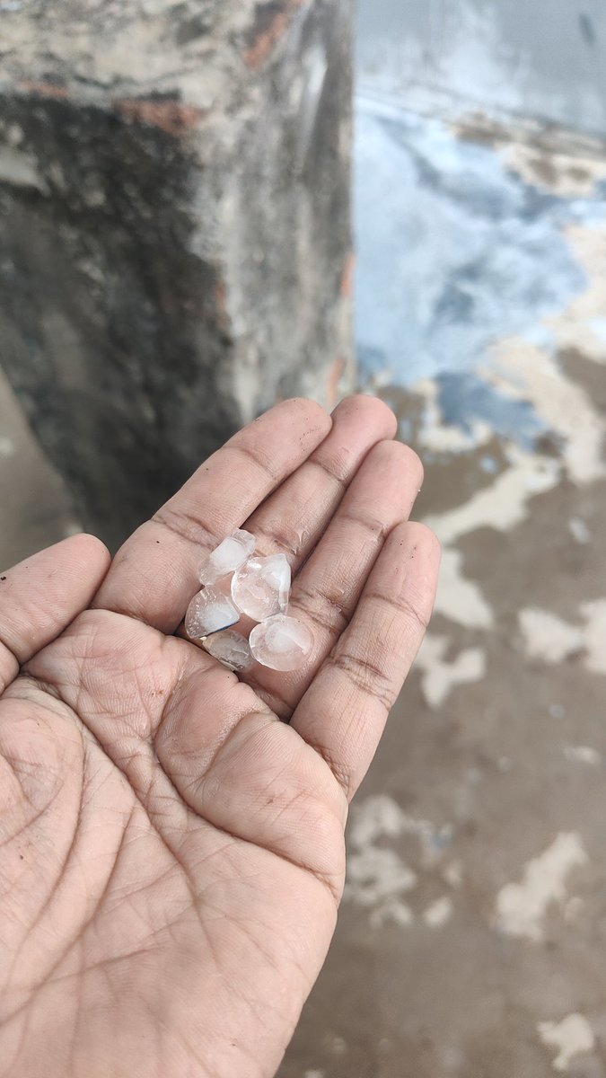 Traveller tweet media