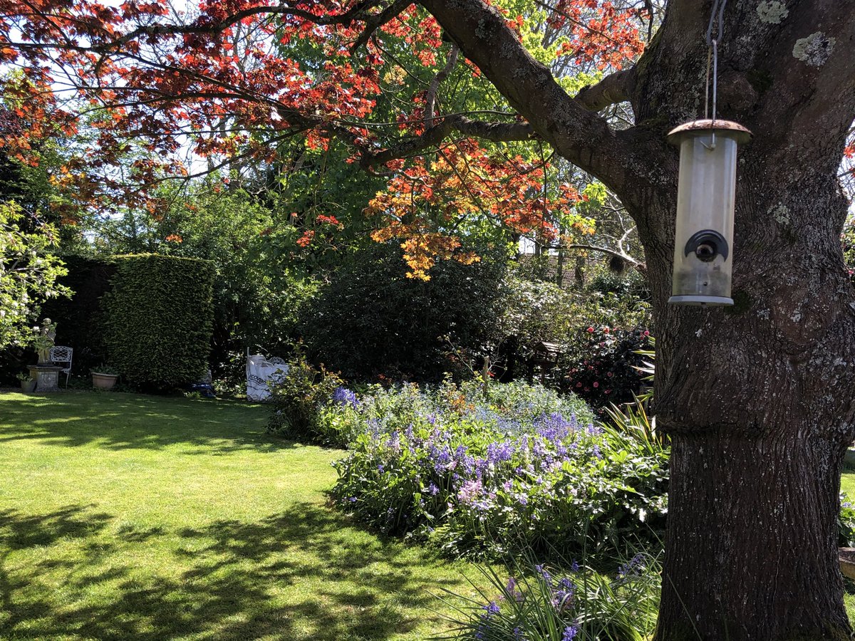 JeanRogersActs's tweet image. Same for me@JulieFrost777
Great Sunday for gardening
Sunshine times to you all!