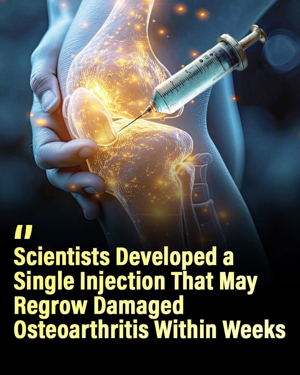 A Single Injection That Could Rebuild Your Joints? What if joint damage ...