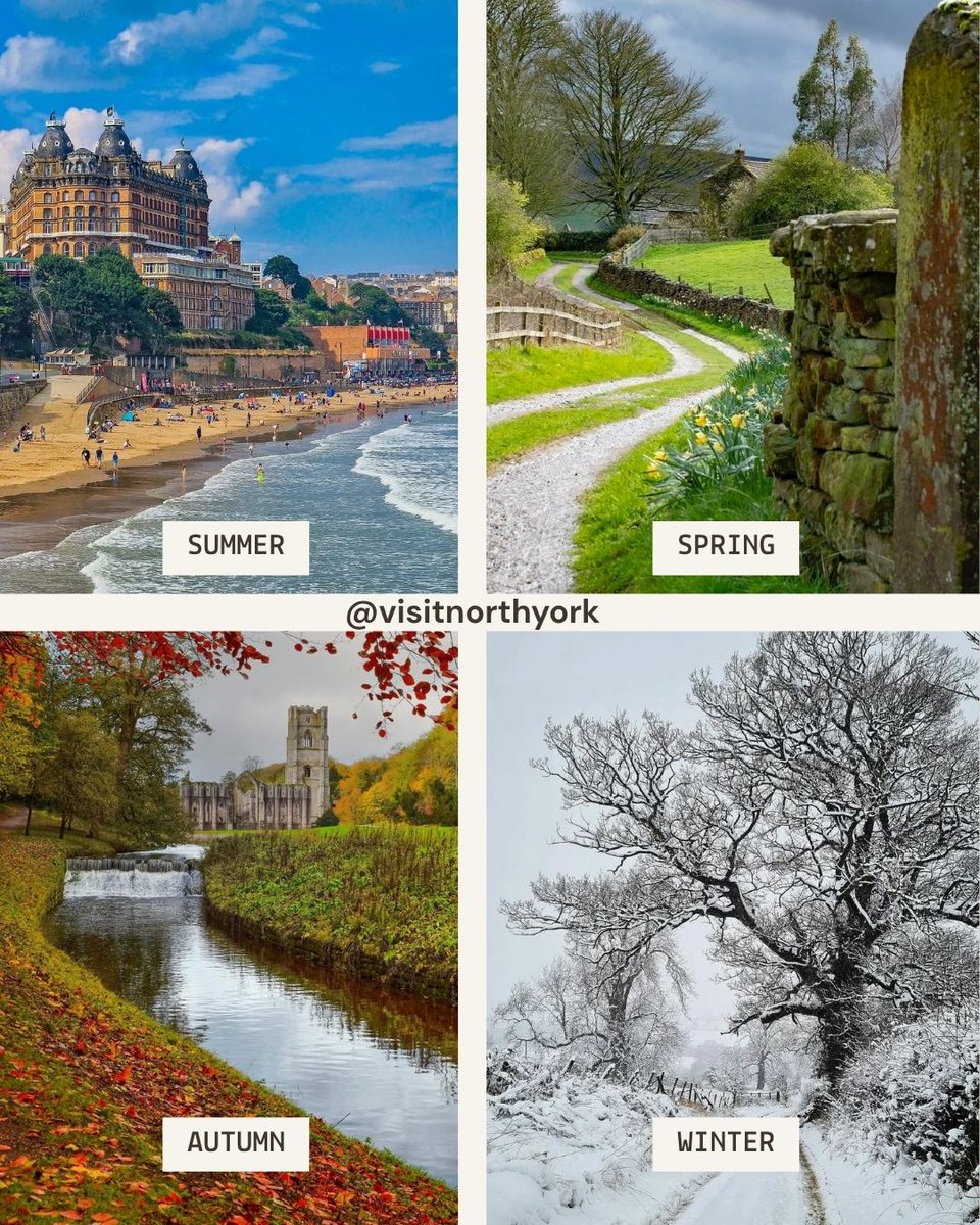 North Yorkshire tweet media