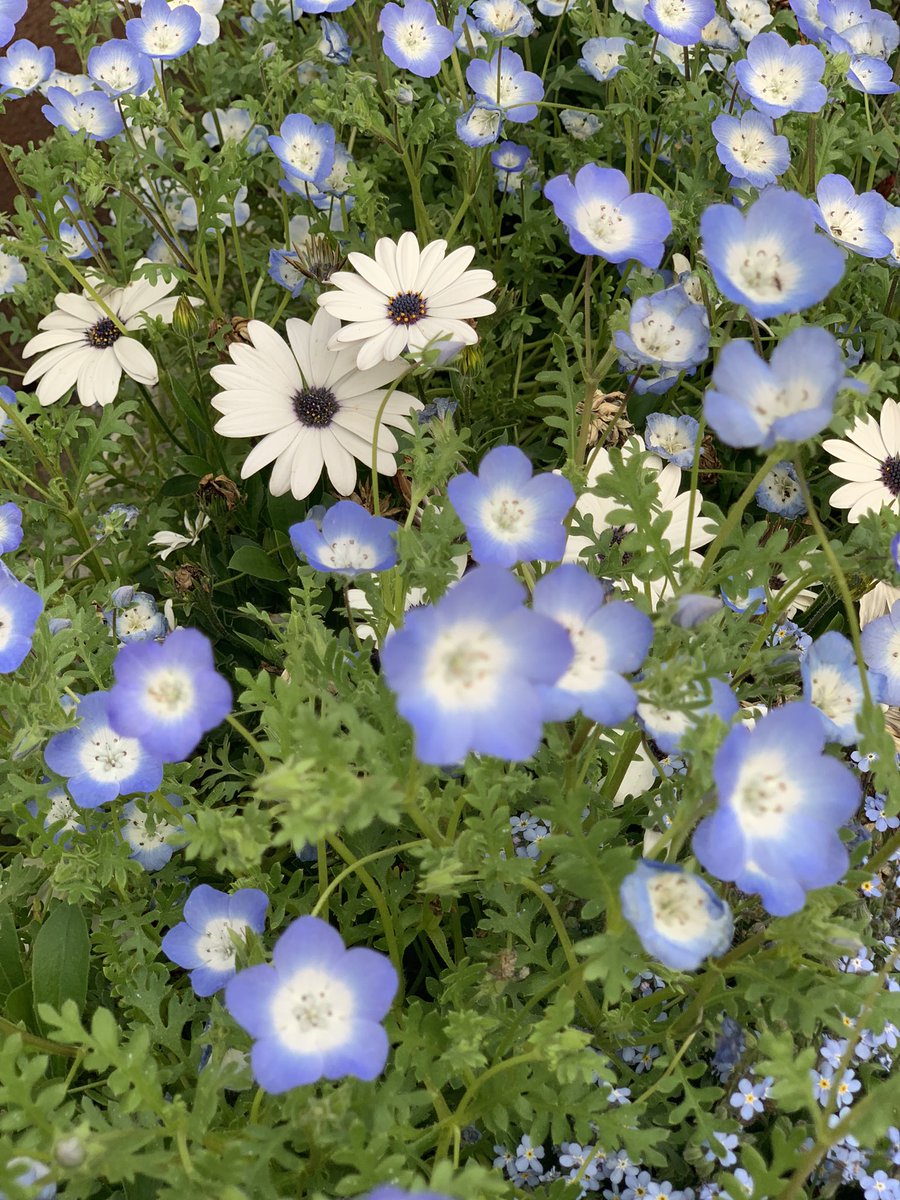 鳴ノ瑠那🐴 tweet media