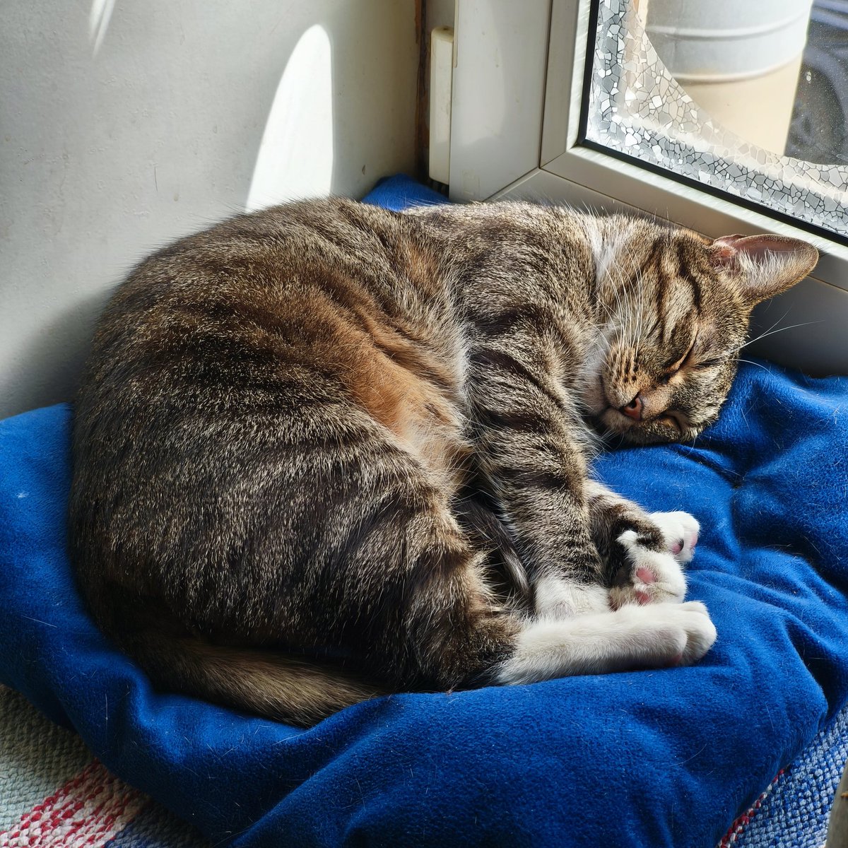 Александр Н. tweet media