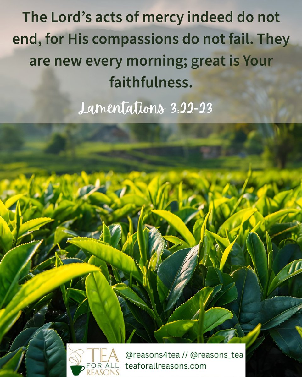 reasons_tea's tweet photo. The Lord’s acts of mercy indeed do not end, for His compassions do not fail. They are new every morning; great is Your faithfulness. - Lamentations 3:22-23 https://t.co/RoCCAMrOdG