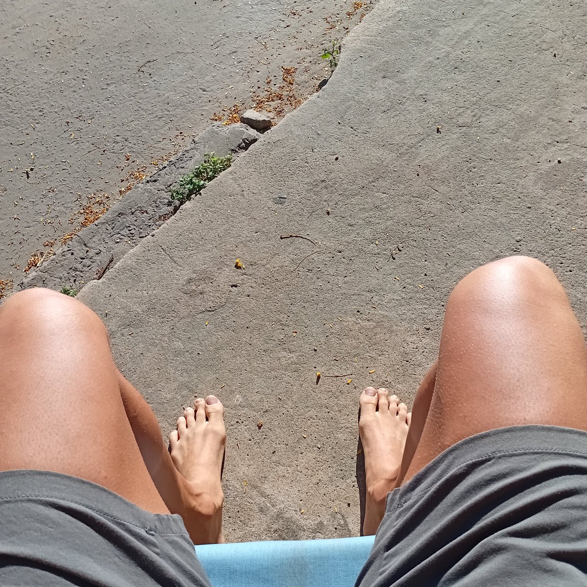 SirOrangeSISCXV_II tweet media