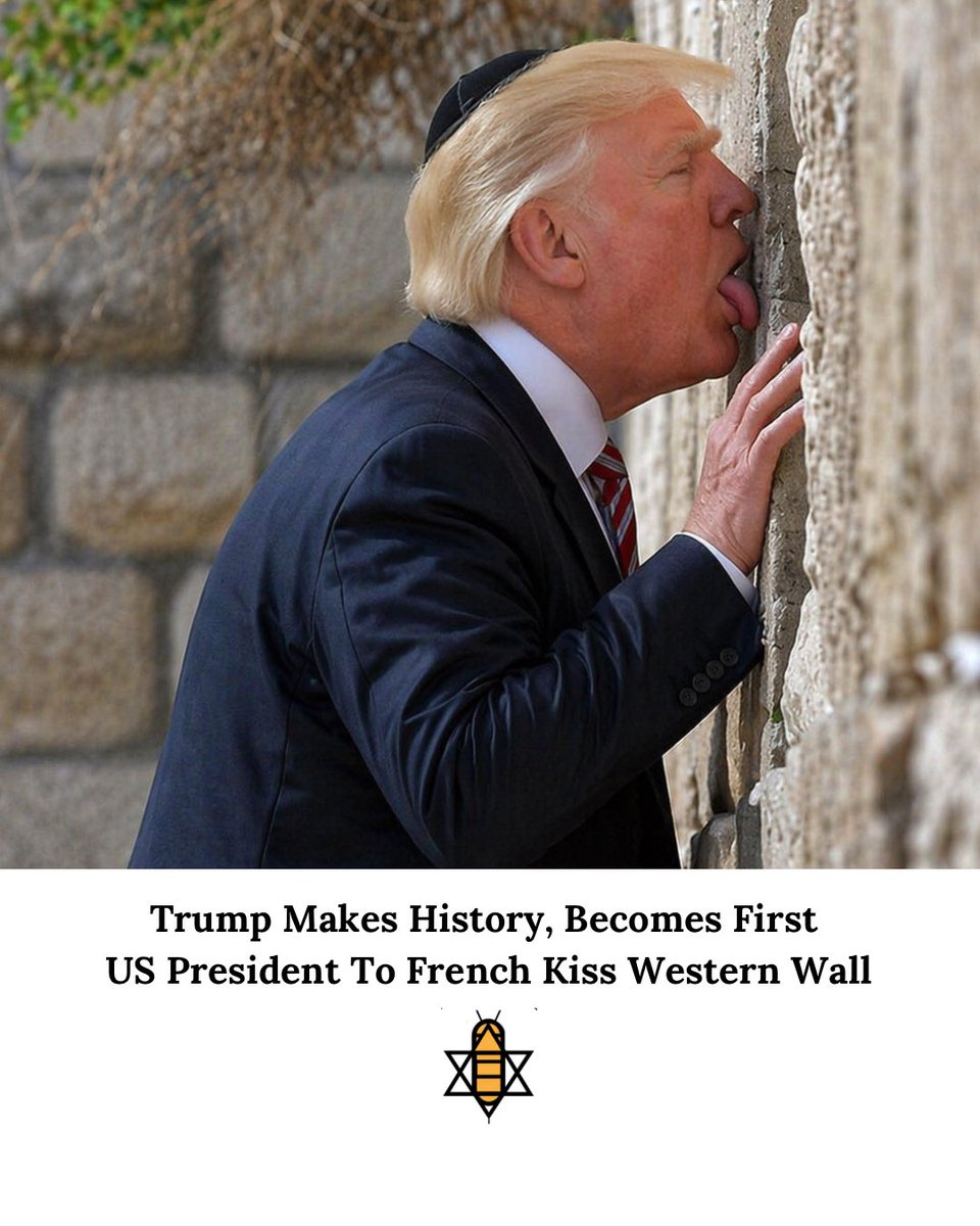 The Babylon Bibi tweet media