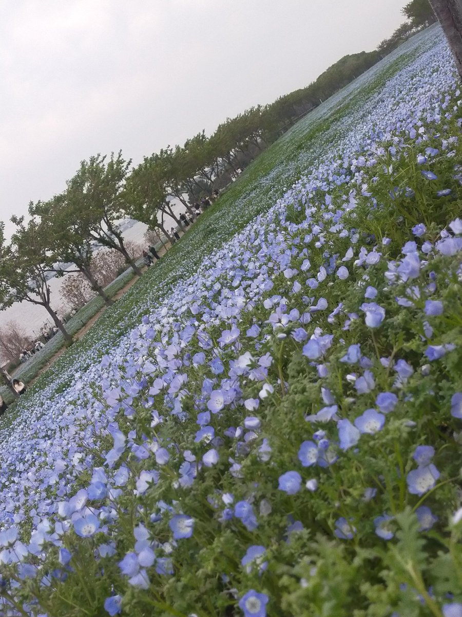 Cat007🐱🌈医療DX＆DeSci応援📣 tweet media