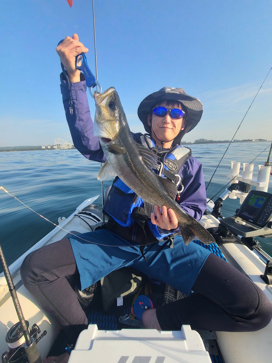 どにゃ tweet media