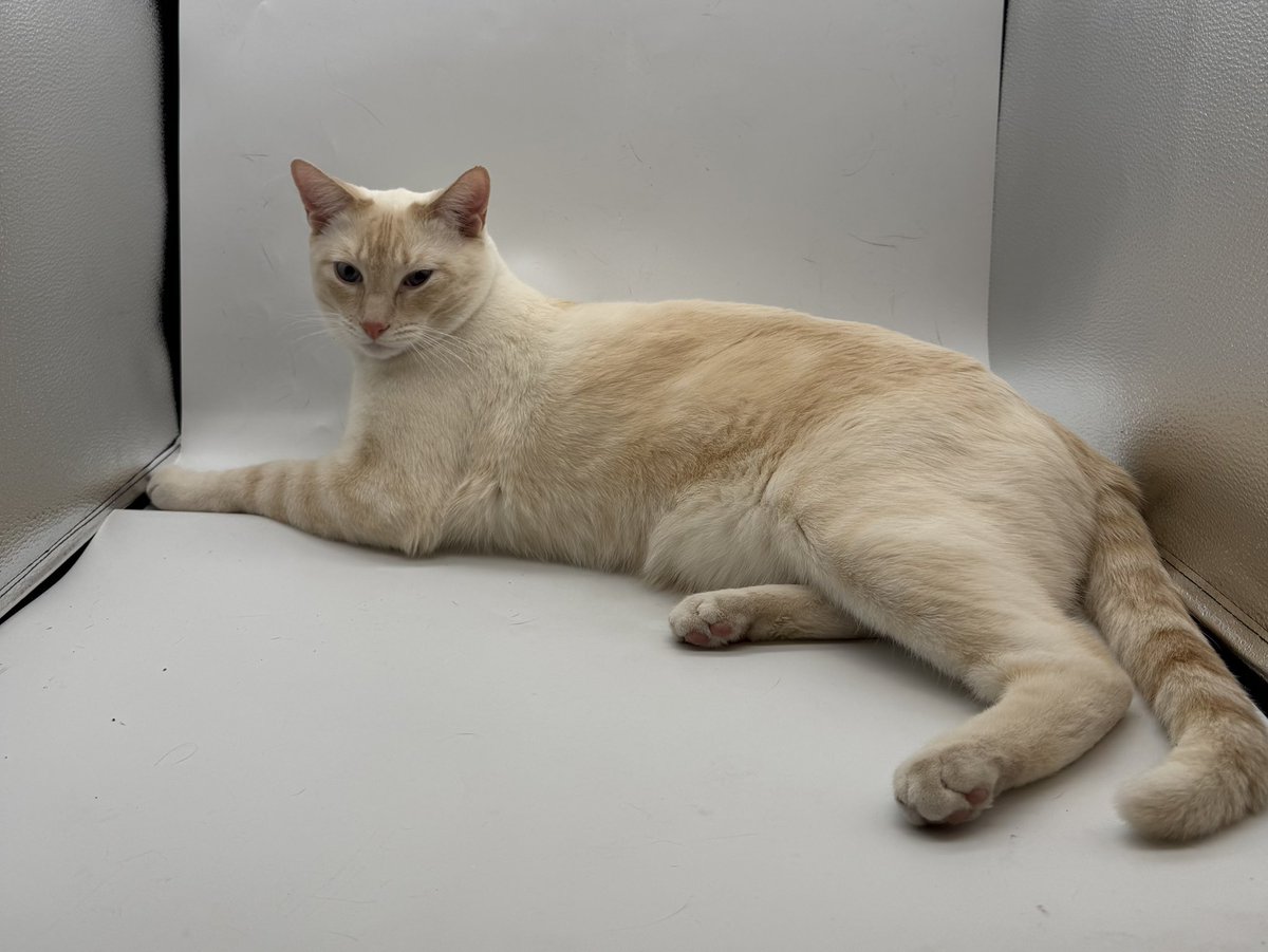 𝕊𝕠𝕦𝕟𝕕𝕨𝕒𝕧𝕖 tweet media