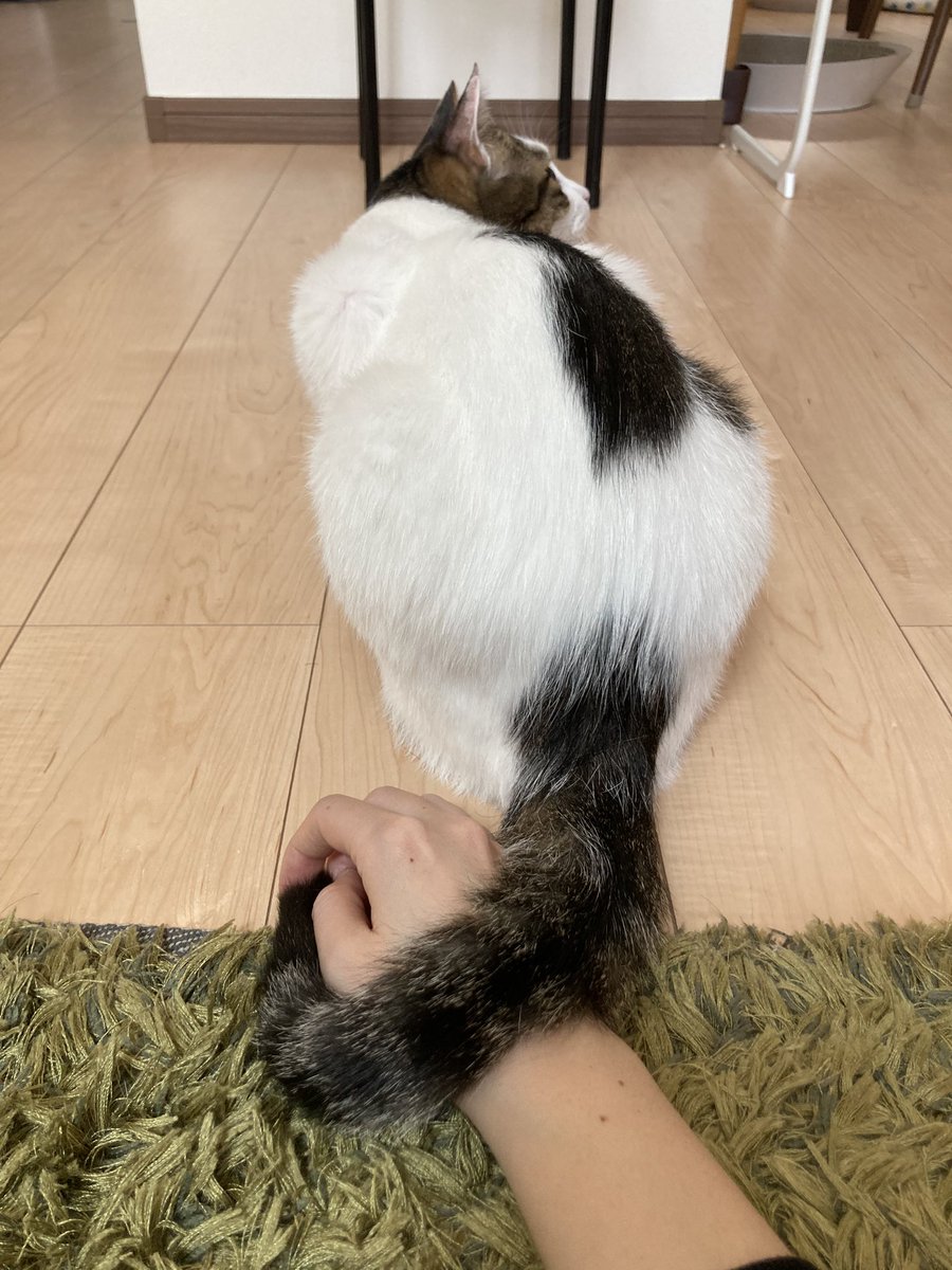 昨日今日と知らない人が来ていてこわかったね

まだ警戒中