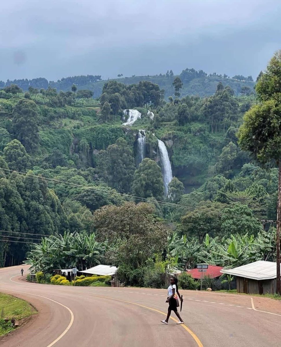 Ngazekof🇰🇪 tweet media