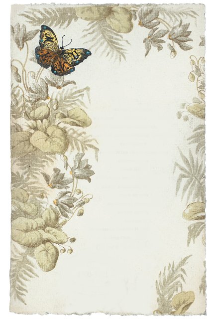 Toni Fariss tweet media