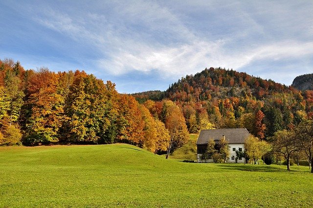 Angela Plante tweet media