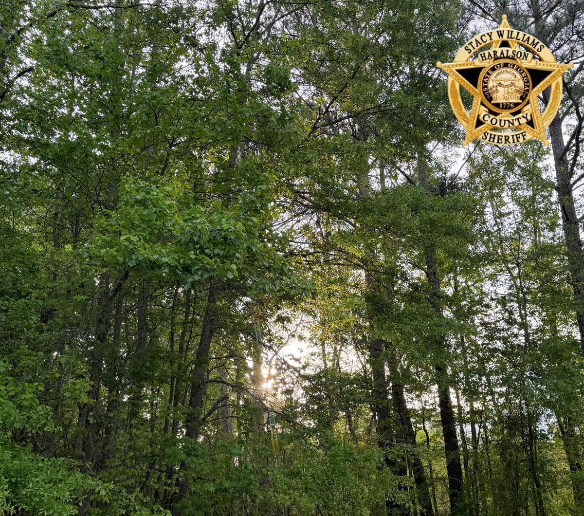 HaralsonSheriff's tweet image. “Today is a most unusual day, because we have never lived it before; we will never live it again; it is the only day we have.” - William Arthur Ward

Good Sunday Mornin’ folks, we hope y’all have an amazing day! 

#MorninHaralson 
#Sundays 
#CallUsIfYouNeedUs 
#HCSO
