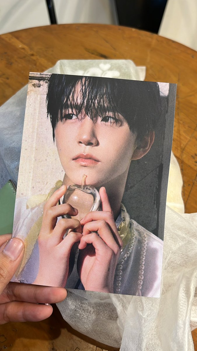 na 🌳🪽 tweet media