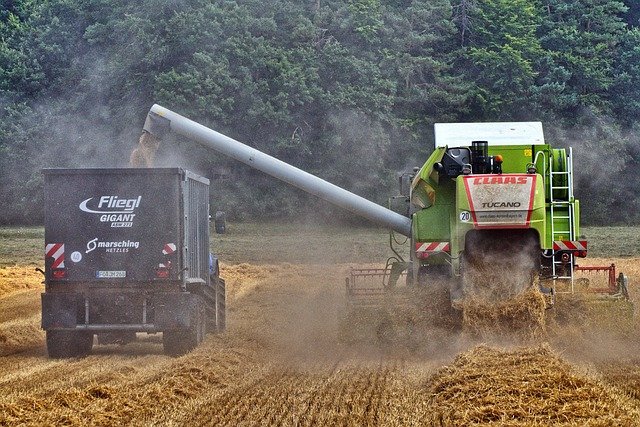 Jose Palenkara tweet media