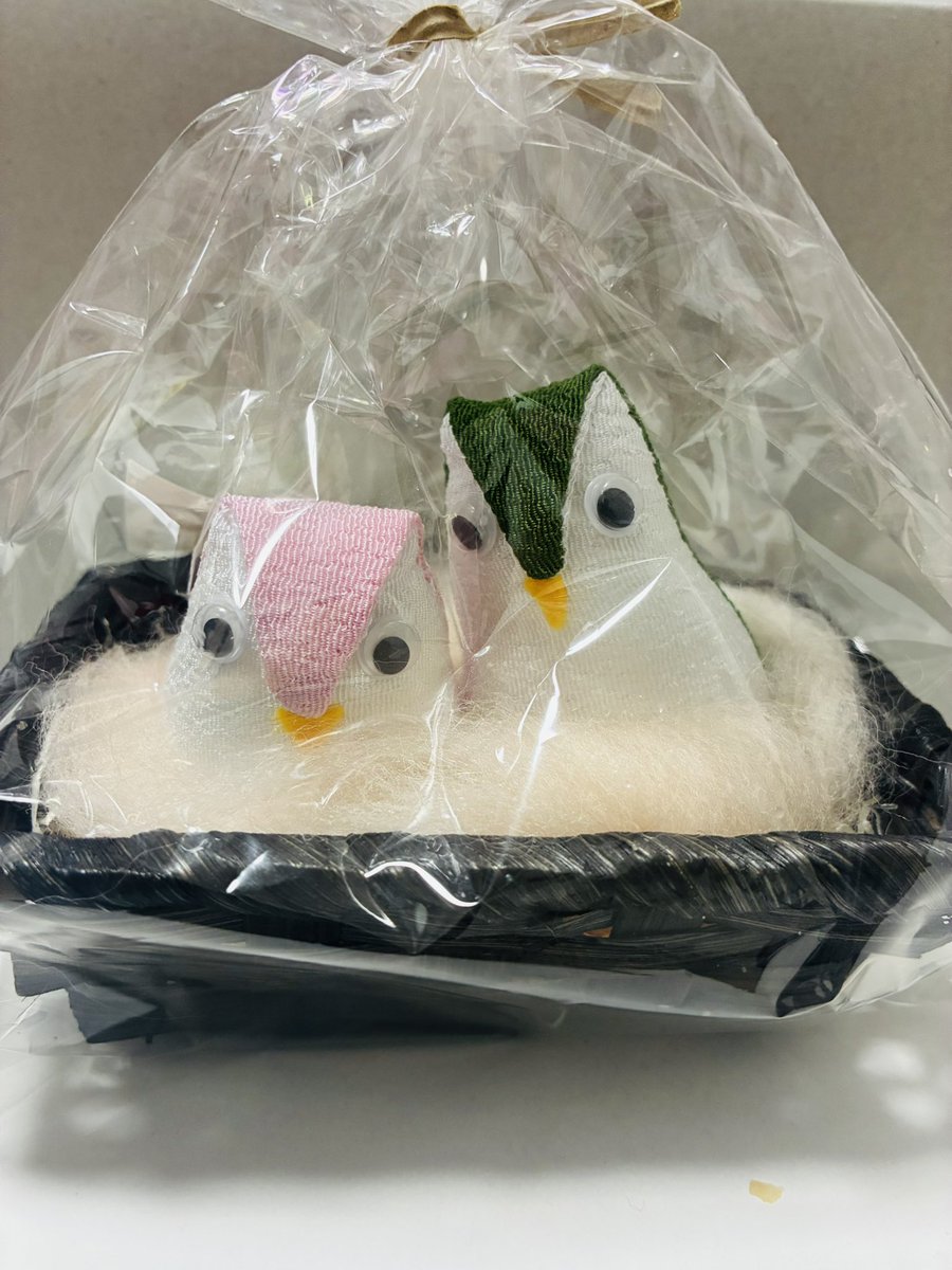 🕊️旅のお土産🕊️

先週滋賀に旅行に行った時、
道の駅の工芸品コーナーをぼーんやり見てたら目が合ってしまい(　ﾟдﾟ)えっ‼️

カラーといい…大きさといい…奇跡過ぎん？！
って思い即買いしてしまったやつ。笑

普段こういうのマジで買わんけど…これは買ってまうて…製作者さんに感謝✨