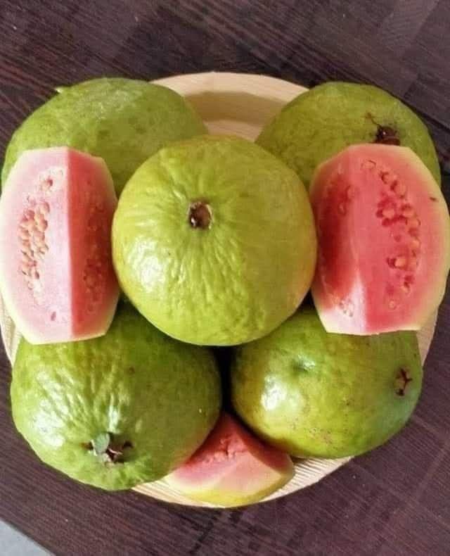 Sayantika tweet media