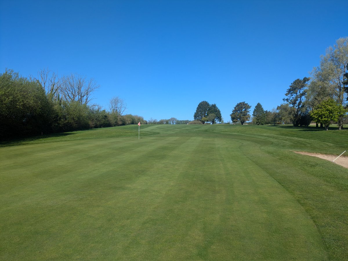Broomstu's tweet image. Glorious morning on the course @HonitonGolf. Greens really starting to kick on now, and the bluebells are putting on a show too. #greenkeeping #golf #bluebells #spring2026