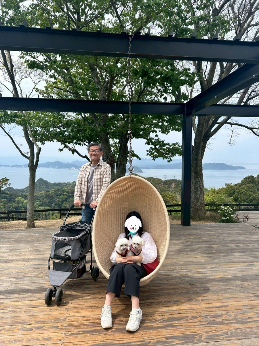 TANISHI_magic's tweet image. 香りの公園を散策し、うずの丘で記念撮影したむぎともち。
#元保護犬 #マルチーズ #maltese #むぎともち #淡路島