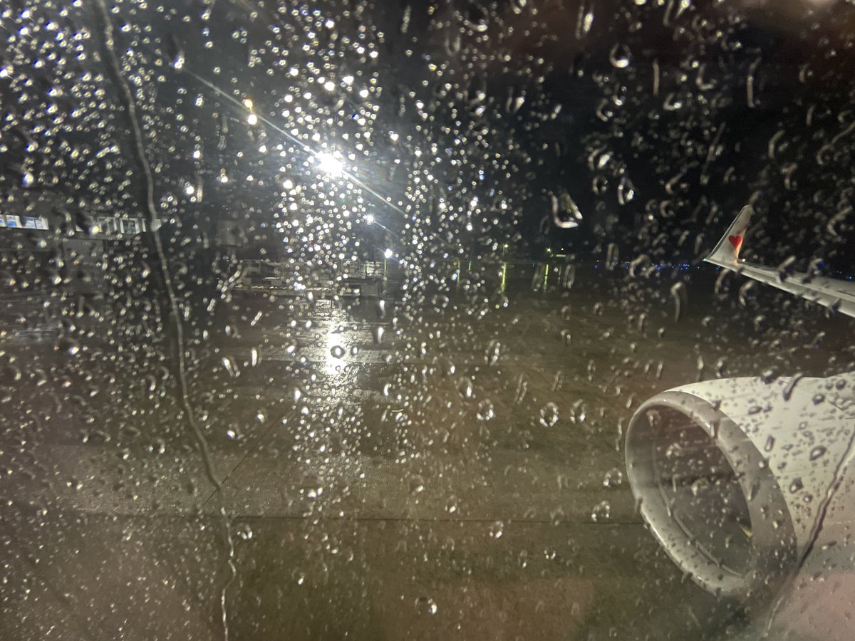 キッド tweet media