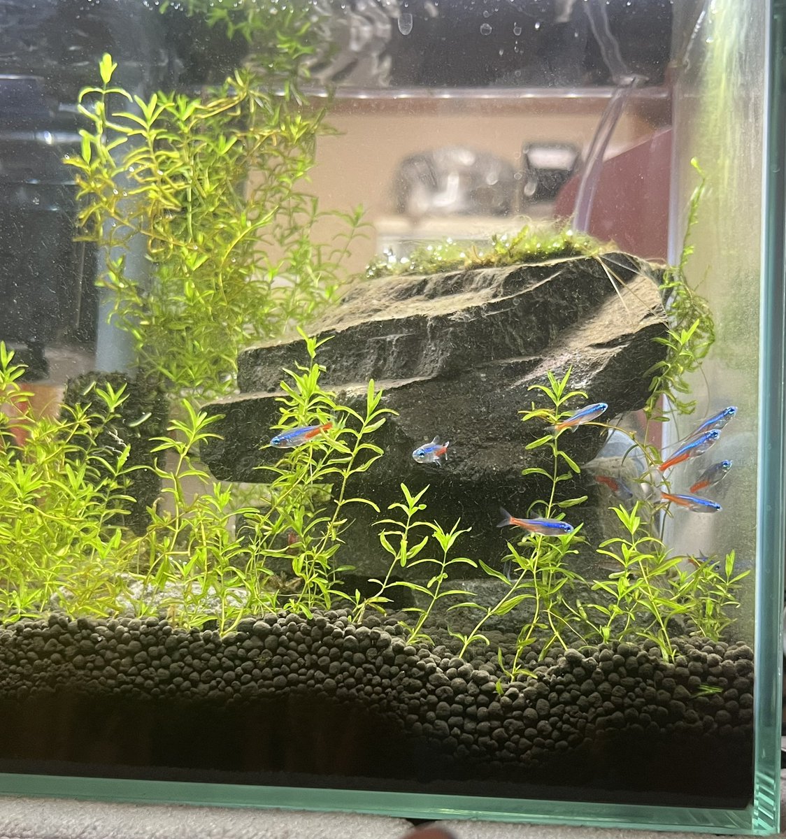 あぜあぜ tweet media