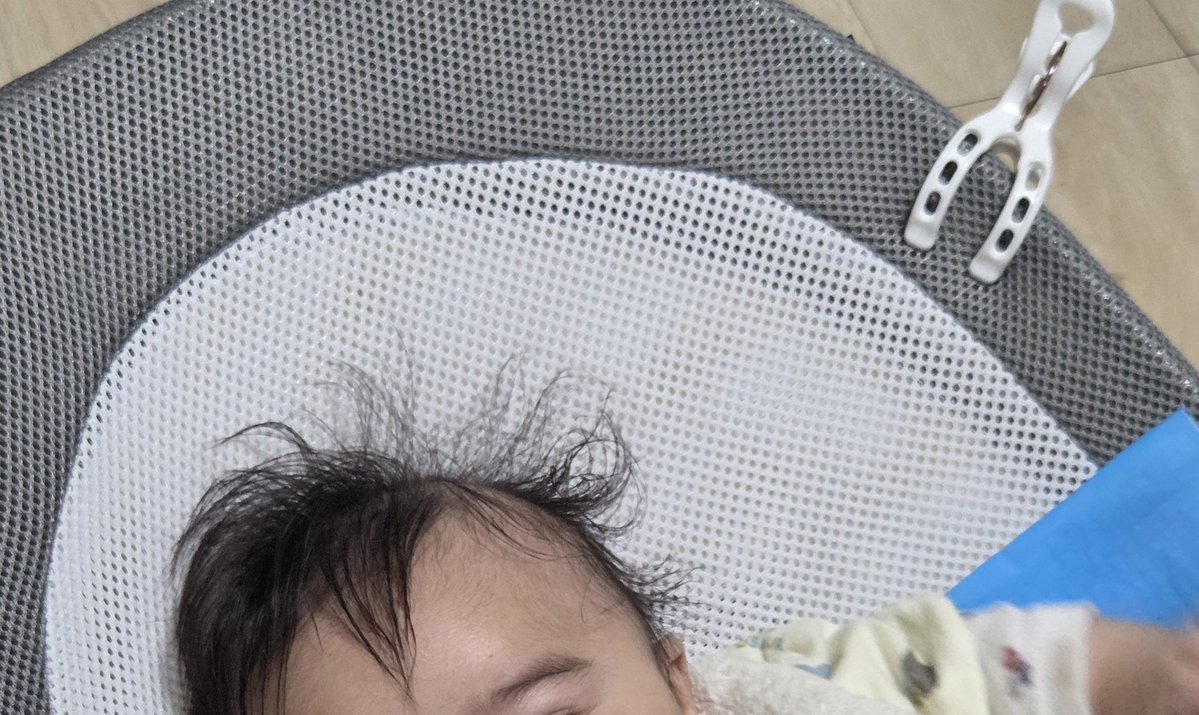 ただのバスケ好き tweet media