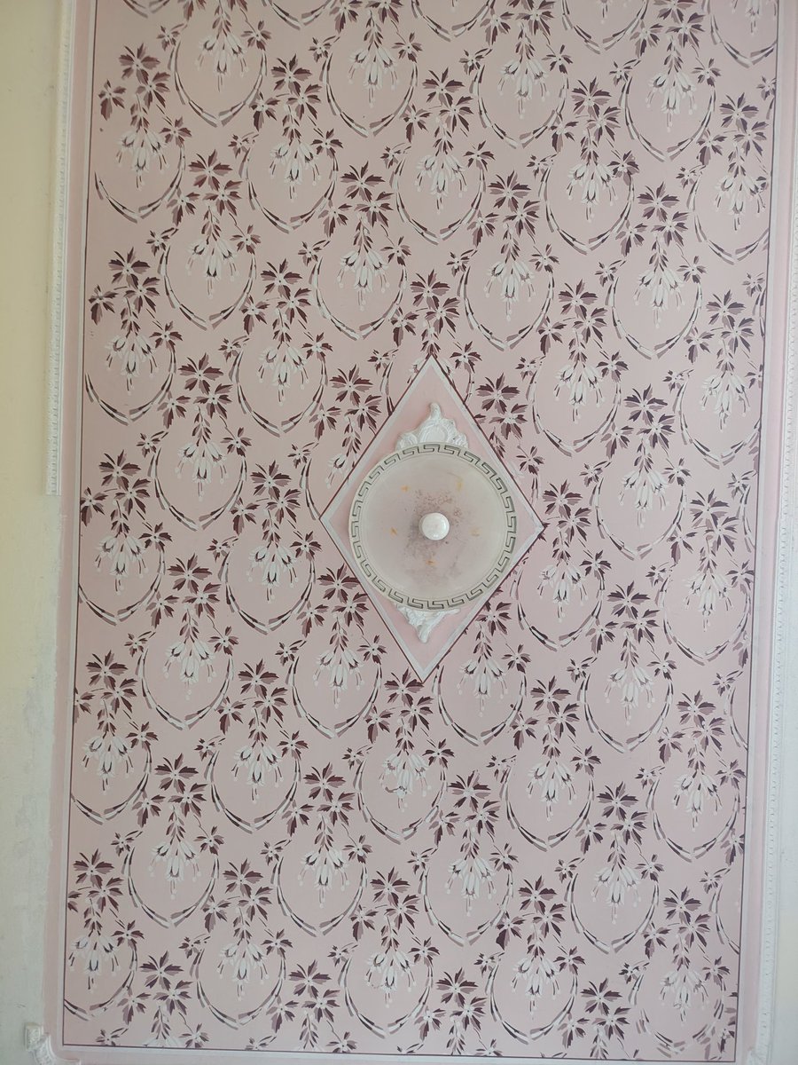 🥪M0mzWhoNomz🥪 tweet media