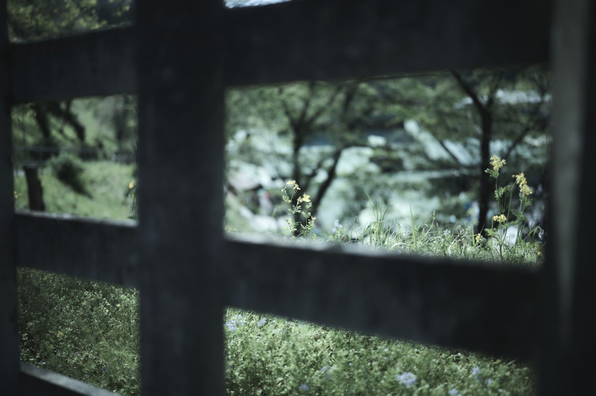 room49plus's tweet image. Sigma 35mmF1.4 DGⅡ Art 、軽くて良き
#Sigma #SigmaLens #ArtLens #sigmafpl #35mmf14dgIIArt