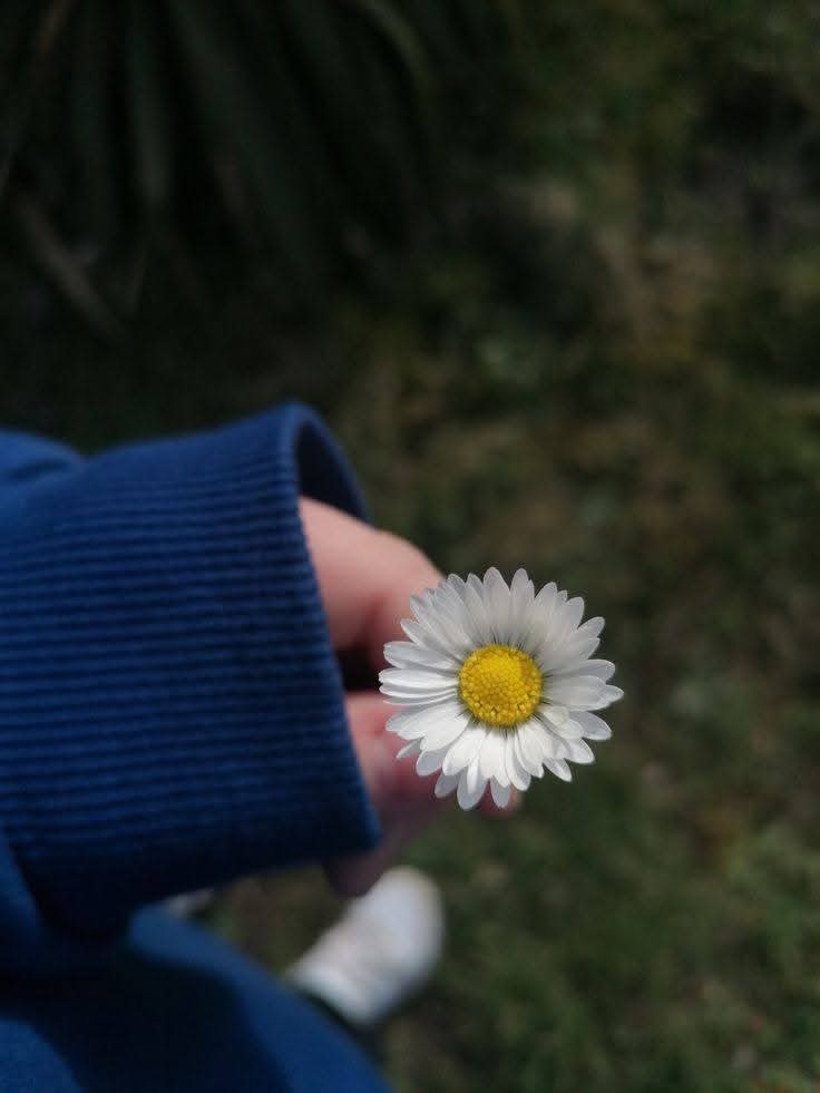 Purely Green tweet media