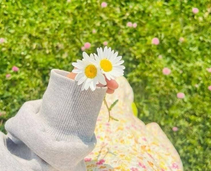 Purely Green tweet media