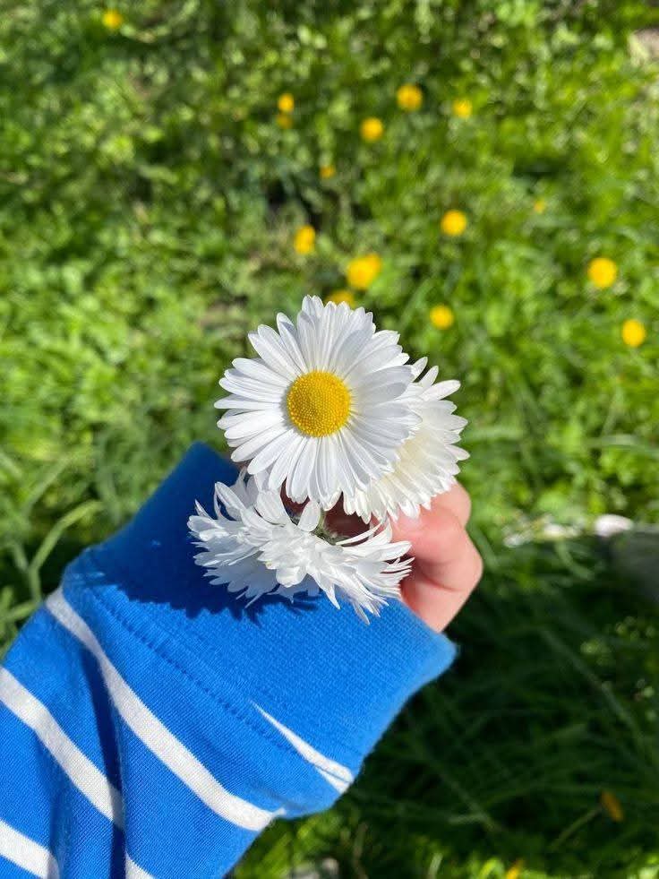 Purely Green tweet media