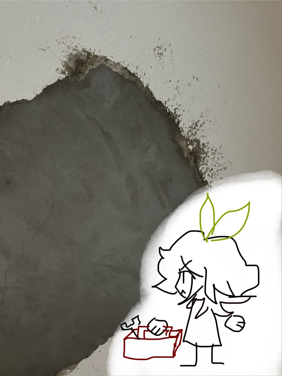 Canelita!‧₊˚⭐️ tweet media