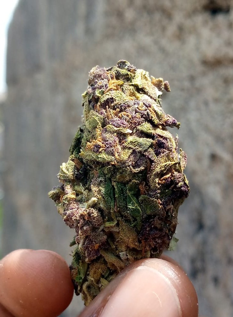 The 17 Reserve tweet media