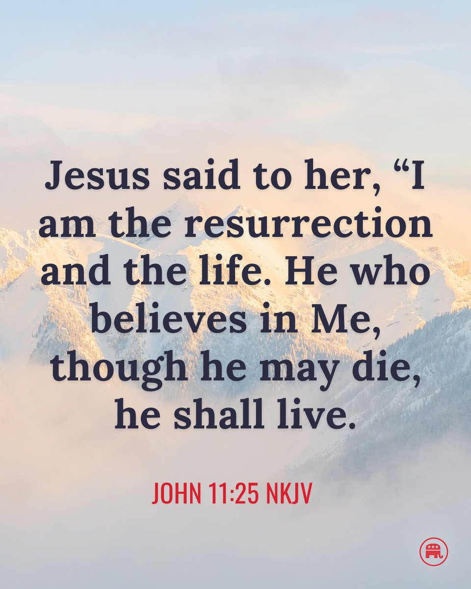 Republicans tweet media