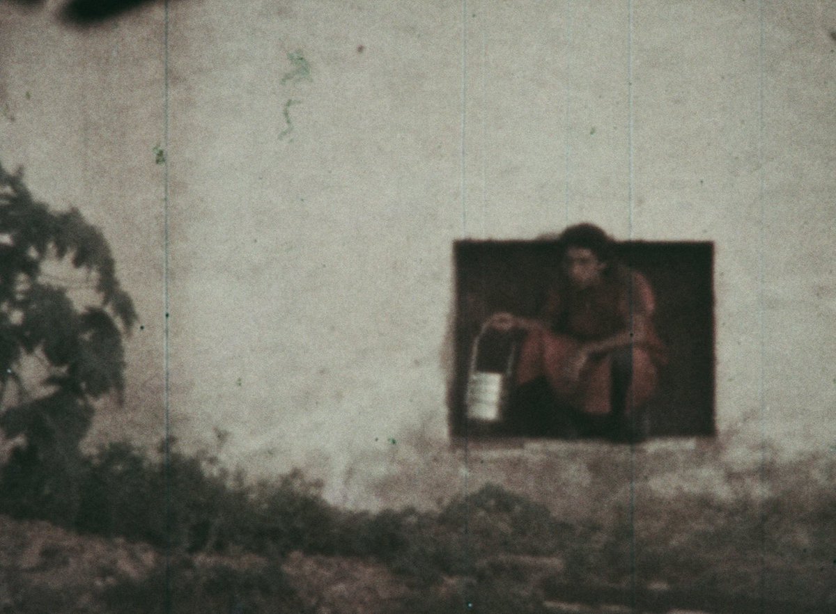 Cinelimite tweet media