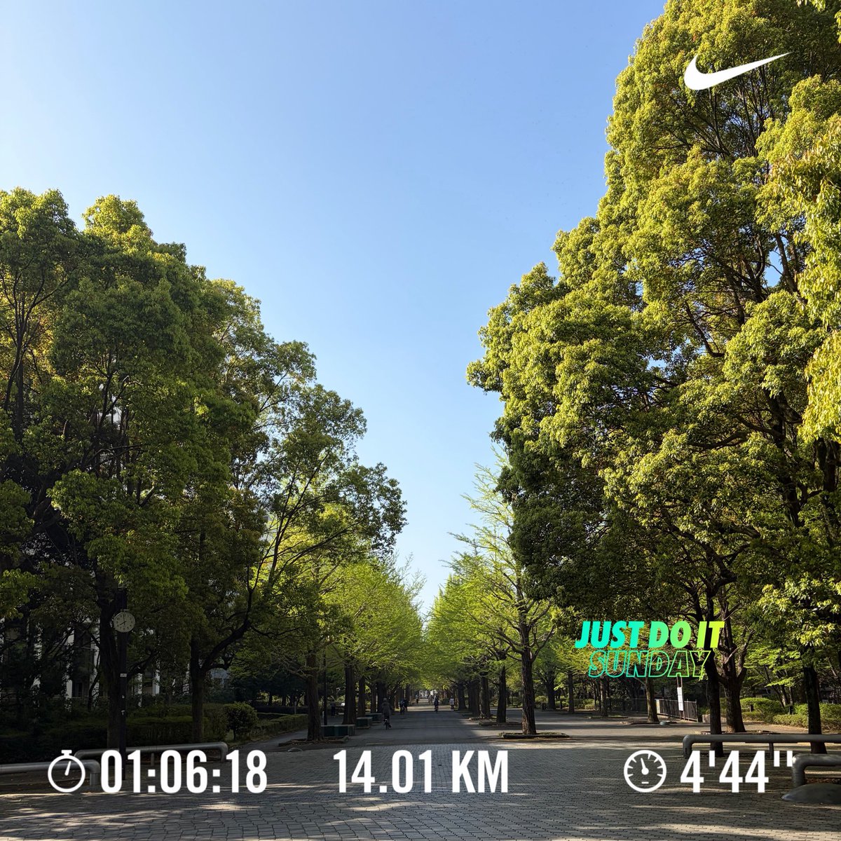haroki18's tweet photo. リフレッシュジョグ14.01km🏃‍➡️👟💨
@4'44"
快晴☀️で気持ちの良いランニングデー☺️ https://t.co/Odg2IsUMgA