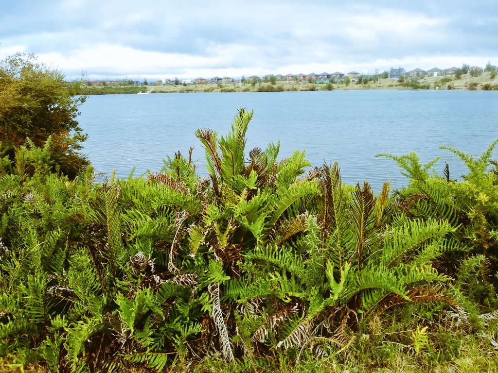 KMarestyrth's tweet image. Archivo de imágenes y recortes recopilados por Marcos Andrés Barros Ketterer. Marestyrth. #images #image #PtoMontt #Chile #PuertoMontt #RegiónDeLosLagos #RegionDeLosLagos #picture #pictures #photo #MarcosAndrésBarrosKetterer #Marestyrth #Photographer #Photography #Landscapes